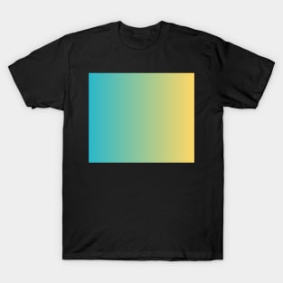 Seamless Gradient Effect T-Shirt